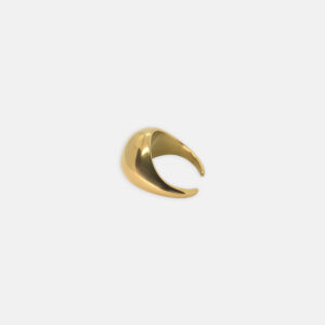 Golden Echo